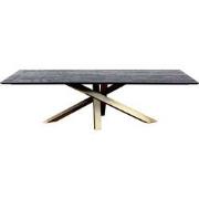 PTMD Alore Black Gold Diningtable Rectangle 200 Cm