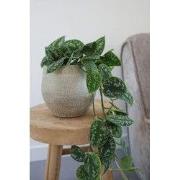HS Potterie Taupe Pot Tokio - D28xH26