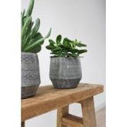 HS Potterie Delhi Pot Grijs - 18