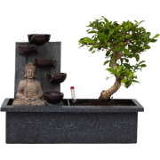 Bonsai met Buddha - Bonsai - Hoogte 25-35cm - ?29cm