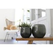 HS Potterie Bari Groen - 14