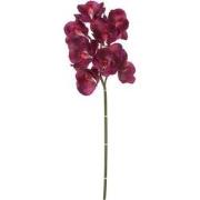 Mica Decorations orchidee maat in cm: 75 paars