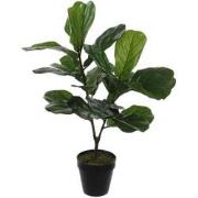 Mica Decorations ficus lyrata in plastic pot maat in cm: 75 x 50