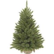 Triumph Tree Kunstkerstboom Forest frosted - 62x62x90 cm - hardnaald -...