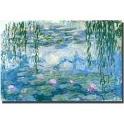 Fine Asianliving Schilderij Wall Art Canvas Print 120x80cm Waterlelies