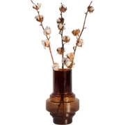 Droogbloemen - Set van 3 - Boeket 'Cotton branch' - Droogbloemen