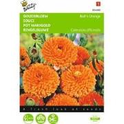 2 stuks - Calendula Officinalis Dubbelbl.Ball S Oranje