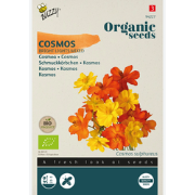 Seeds cosmos bright lights mix 0.5 gram