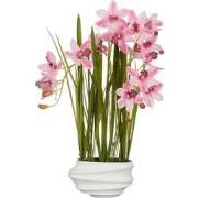 Mica Decorations Kunstplant Cymbidium - 49x40x81 cm - Polyester - Roze