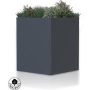 4gardenz® Plantenbak Verhoogde Bodem - Bloembak - 50x50x60 cm - Antrac...