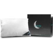 Lanotte® - Hoofdkussen 100% Wol 60x70 cm