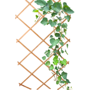 HIXA Klimrek Planten - Uitschuifbaar - Trellis - Hout - Tuinlatwerk - ...