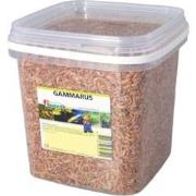 Gammarus 8 mm 2.5 liter