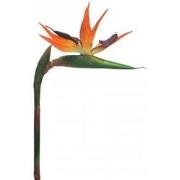 Strelitzia Small 84 cm oranje kunstplant