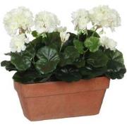 Mica Decorations geranium wit in balkonbak terra maat in cm: 29x13x40