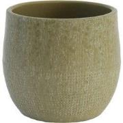 HS Potterie Lugo Groen - 13