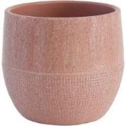 HS Potterie Lugo Roze - 14