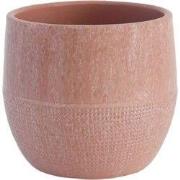 HS Potterie Lugo Roze - 18