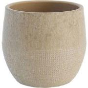 HS Potterie Lugo Beige - 13