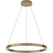 Maytoni - Hanglamp Rim - Messing - Ø60