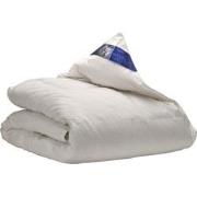 Ten Cate Dekbed - Donzen Dekbed 140x220 - 4 Seizoenen Dekbed - 60% Een...
