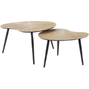 AnLi Style Salontafel set/2 niervormig ray metal