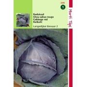 2 stuks - Rodekool Langedijker Bewaar 2