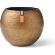 Vaas bol Retro 23x19 goud