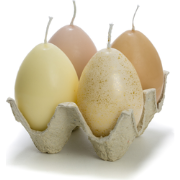 Rustik Lys - Egg tray