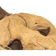 Mopani wood 20kg large Aquadistri