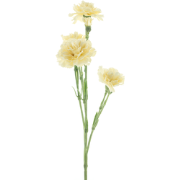 Dianthus Charly beige 62 cm kunstbloem