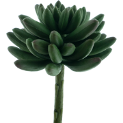 Echeveria pick Anna green 14.5 cm kunstbloem