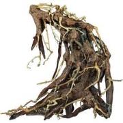 Bonsai root large