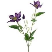 Kunstbloem Clementis 20x15x76 cm prs