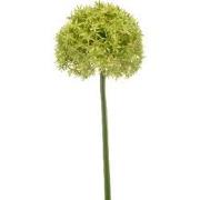 Allium giant spray green 90 cm Emerald
