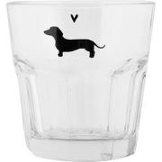 Clayre & Eef Waterglas 200 ml Transparant Glas Teckel Drinkbeker