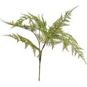 Fern garden bush x7 green 65 cm