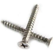 Platinum schroeven 20x - RVS