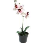 RT Phalaenopsis Bora x1 in pot 35 cm pink kunstbloemen