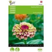 Zaden zinnia queeny red lime 25 zaden