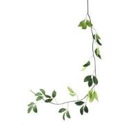 PTMD Kunstplant Jade - 260x43x280 cm - Polyester - Groen