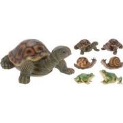 5 stuks! Schildpad Kikker Slak 6Ass