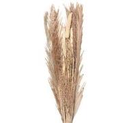 Clayre & Eef Droogbloemen  100 cm Beige Droogbloemen Droogboeket