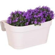 Campanula Addenda Ambella Intense purple - Balkonbak white met 3 stuks...