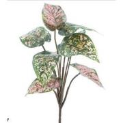 Nova Nature Dieffenbachia plant green/pink 32 cm