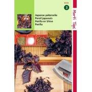 2 stuks - Perilla Crispum Paarsbladig Shiso