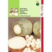 2 stuks - Koolraap Wilhelmsburger Type Friese