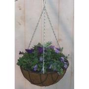 Diverse hangplantjes in kokos hanging basket van paar en blauw