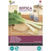 Xotica Palmboom sla - Aspergesla