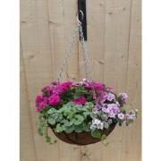 Hanging basket zomerbloeiers roze h25 cm